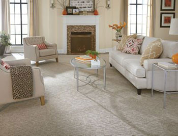 Living Room with Carpet